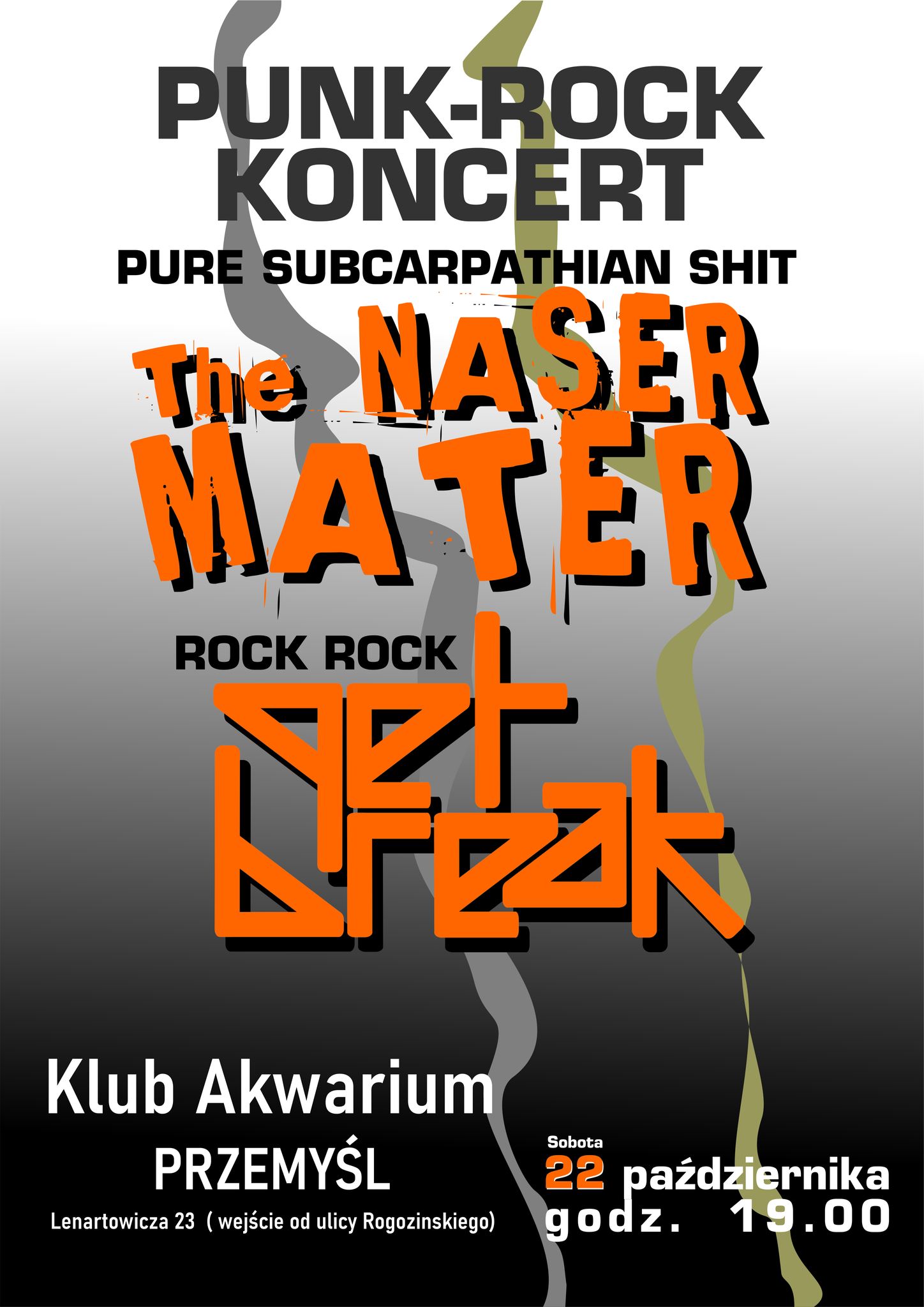 PUNK-ROCK Koncert. Przemyśl. Akwarium. The Naser Mater i GET BREAK